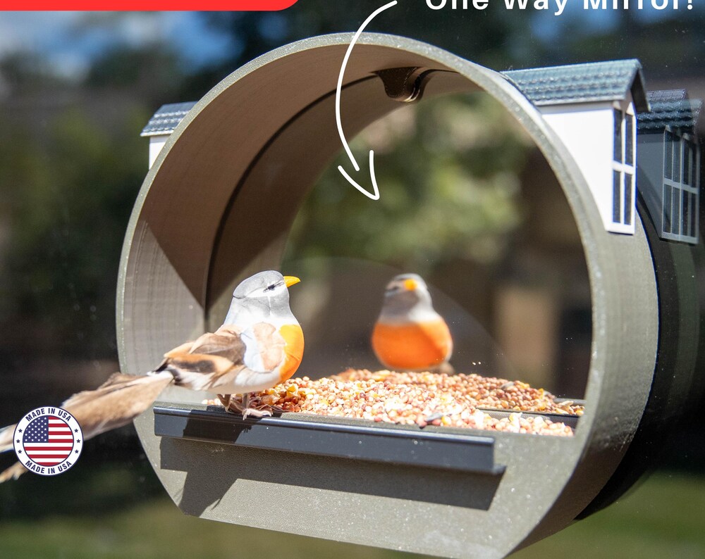 Unique One Way Mirror Bird Feeder